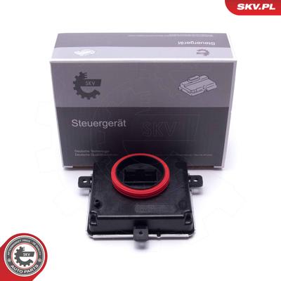 ESEN SKV Steuergerät, Beleuchtung 59SKV167 für Audi