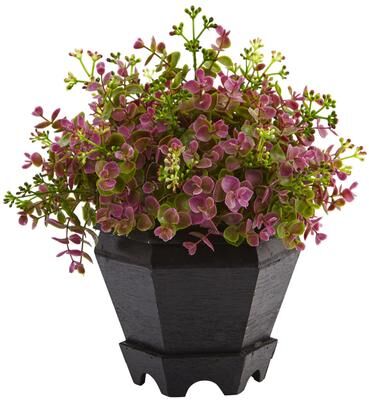 Nearly Natural Sedum and Eucalyptus Plant with Planter