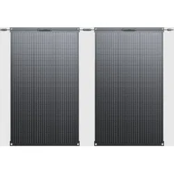 Bluetti 'PV100 FX (Set of 2)'(0% MwSt §12 III UstG)