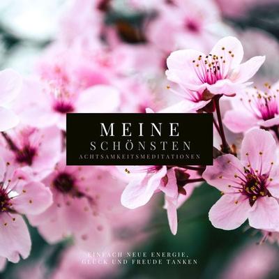 Meine schönsten Achtsamkeitsmeditationen (Premium-Bundle) - Patrick Lynen, Audio, 4064066948290