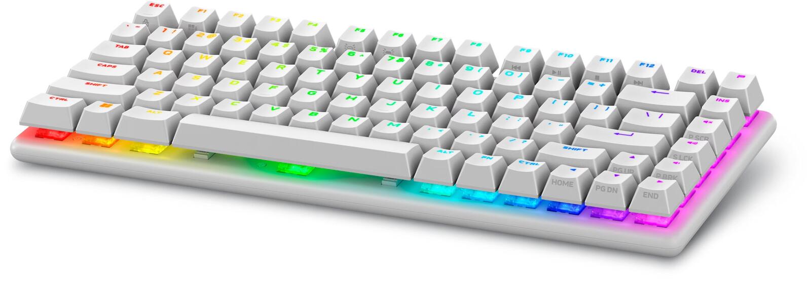 Dell Alienware Pro Wireless-Gamingtastatur US-Englisch (QWERTY), Lunar Light PRO-KB-W-WW