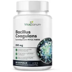 VitaSanum® Bacillus coagulans LactoSpore® – 150 mg Tagesportion (1 Kapsel)