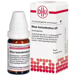 Rhus toxicodendron D30 Globuli 10 g
