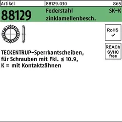 Sperrkantscheibe R 88129 K 10x20,25x1,6 Federst. zinklamellenb 1000St TECKENTRUP