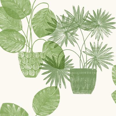 A-Street Prints Aida Green Potted Plant Wallpaper
