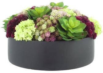Creative Labs Hydrangea and Assorted Succulent Arrangement in Fiberstone Pot