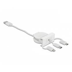 Delock 81375 81375 Erweiterungsmodul 480 MBit/s