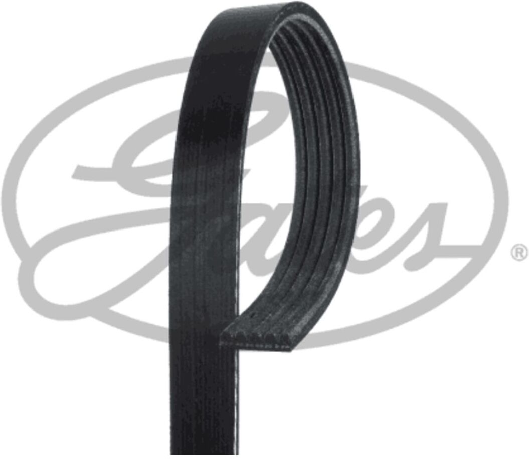 Gates Cinghia Poly-V 5PK1240HD