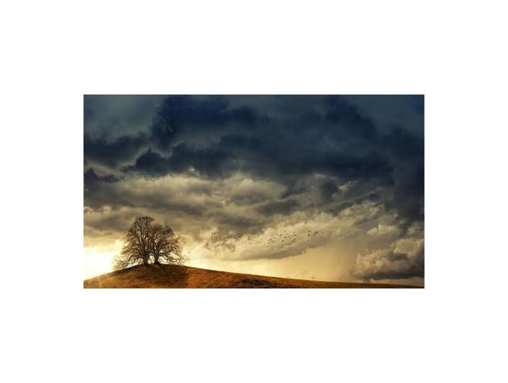 Leinwandbild Digital Art, Alldecor, beige/braun/dunkelblau, Textil