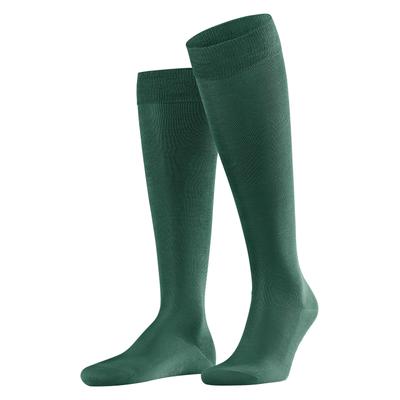 Kniestrümpfe FALKE "Tiago", Herren, Gr. 45-46, Sockengröße, grün (hunter grün), Baumwollmischung, unifarben, Socken Kniestrümpfe, mit leichtem Glanz, atmungsaktiv, aus Fil d’Écosse Baumwolle