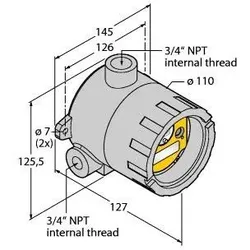Turck Funksystem DX99N2X1S2N0T4X0D0