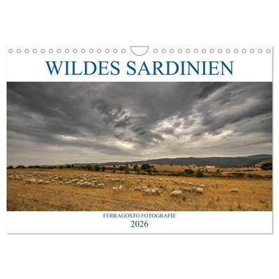 Wildes Sardinien 2026 (Wandkalender 2026 DIN A4 quer), CALVENDO Monatskalender