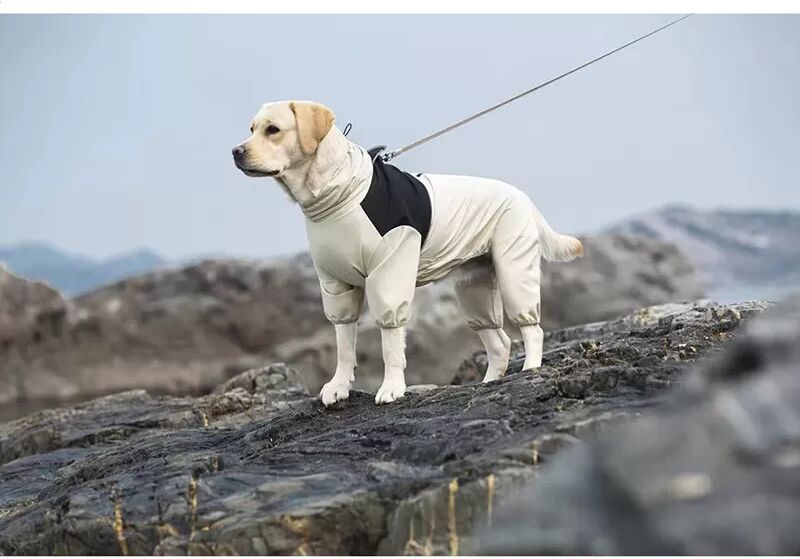 INF Manteau imperméable pour chien - Vêtements de protection pour chien en beige 8XL