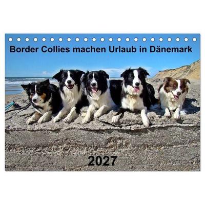 Border Collies machen Urlaub in Dänemark (Tischkalender 2027 DIN A5 quer), CALVENDO Monatskalender