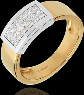 Edenly Ring ceinturon in Weiss- und Gelbgold