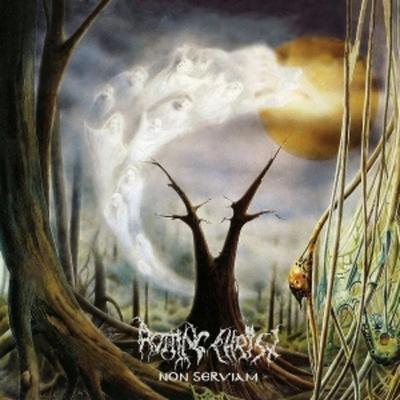 Non Serviam - Rotting Chist, Vinyl