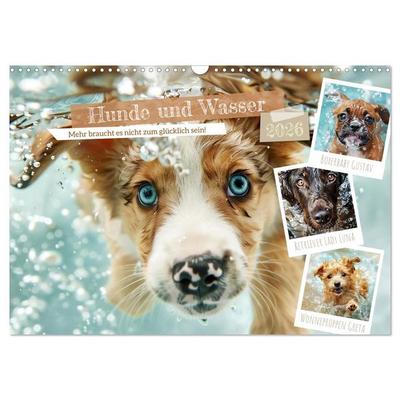 Hunde und Wasser (Wandkalender 2026 DIN A3 quer), CALVENDO Monatskalender