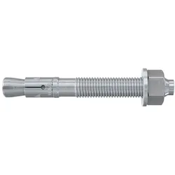fischer Bolzenanker FBN II 10/30