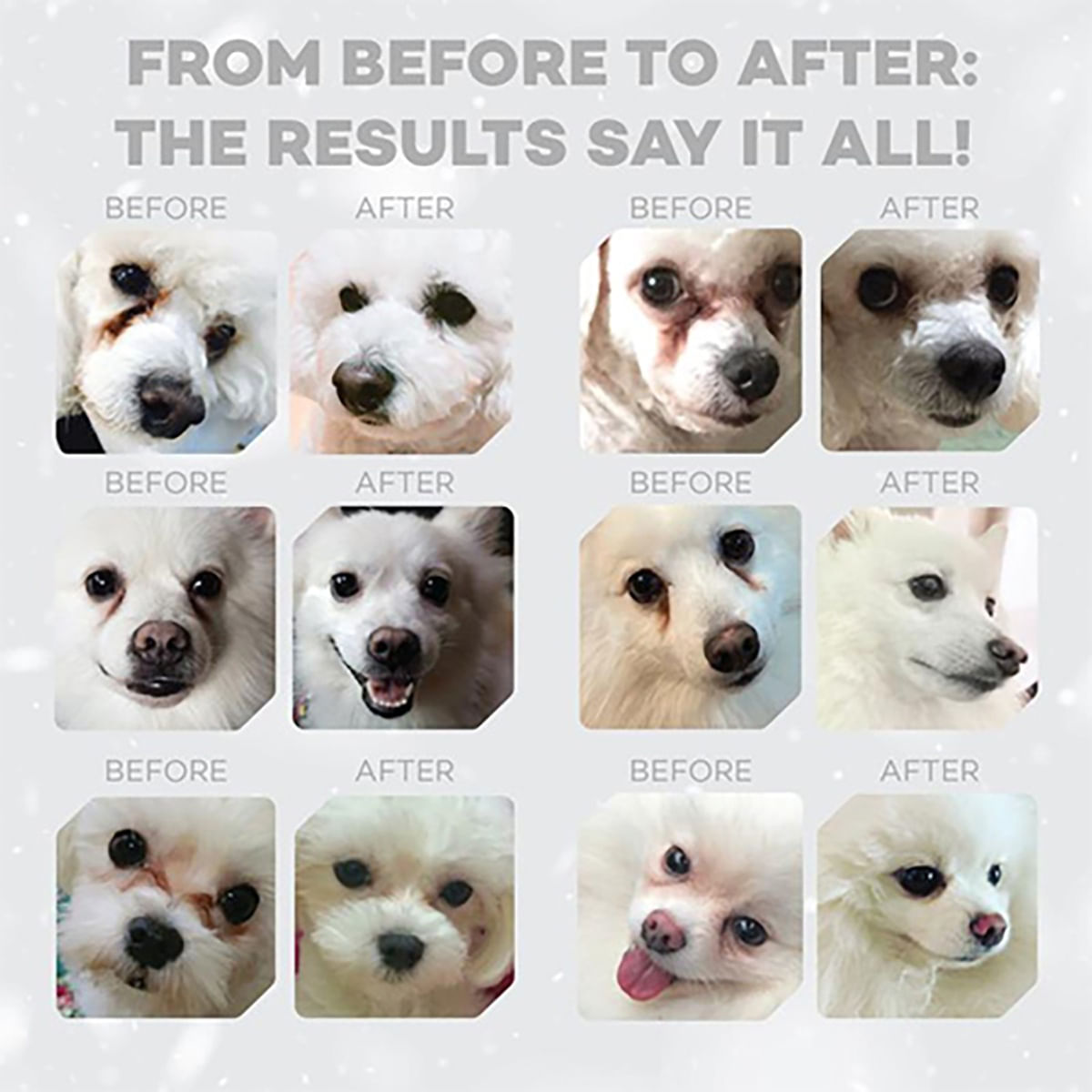 NATURES PROTECTION Nature's Protection White Dogs Puppy Small&Mini Pesce Bianco 1.5KG
