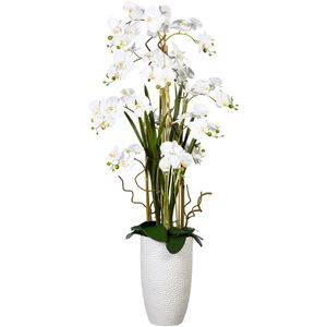 Creativ-green Kunstblume Orchidee, Phalaenopsis, weiß, Arrangement in Keramik-Vase, Höhe 160 cm