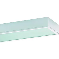 Ridi-Leuchten Anbauleuchte m.RIDI-Tube IHLS-L 154/ #0650077