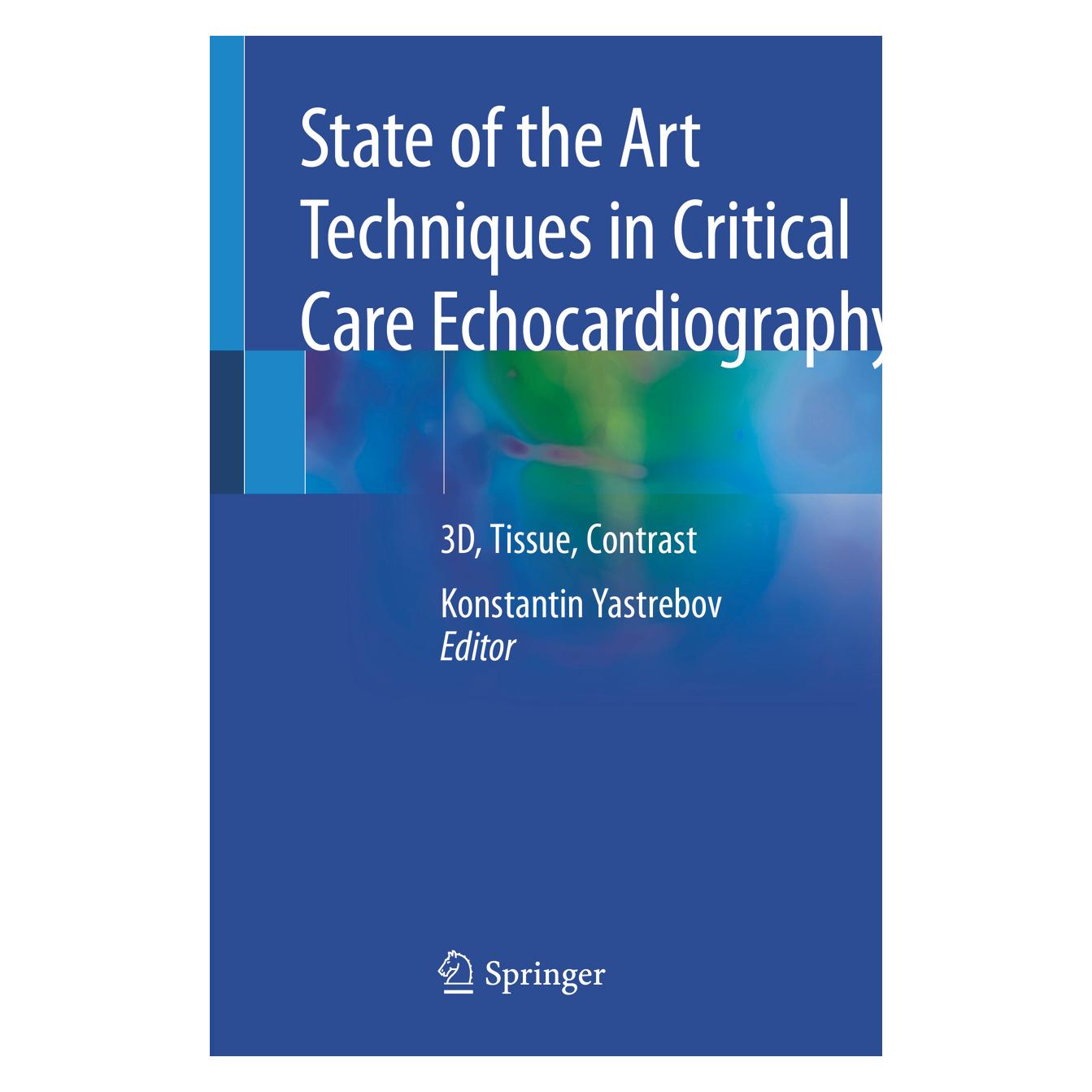 Springer State of the Art Techniques in Critical Care Echocardiography (Englisch, Softcover, Konstantin Yastrebov) (56167152)