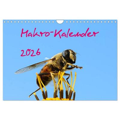 Makro-Kalender 2026 (Wandkalender 2026 DIN A4 quer), CALVENDO Monatskalender