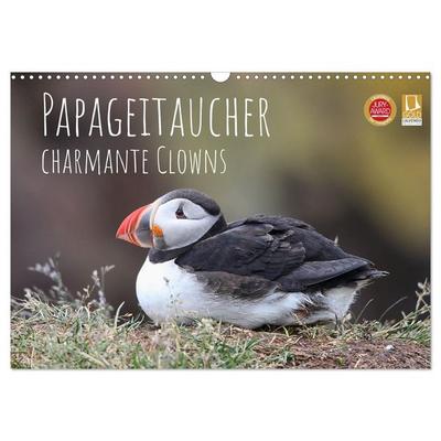Papageitaucher - charmante Clowns (Wandkalender 2027 DIN A3 quer), CALVENDO Monatskalender