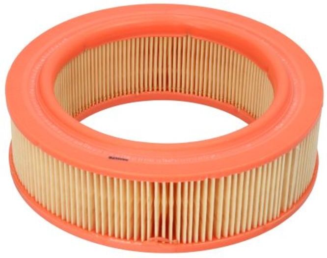 Luftfilter FILTRON AR 219