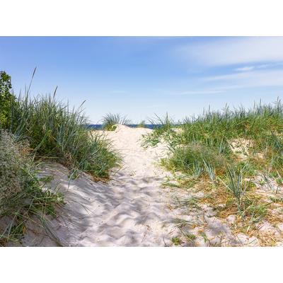Fototapete PAPERMOON "Dünen in der Ostsee", bunt, B:2,5m L:1,86m, Vlies, Tapeten