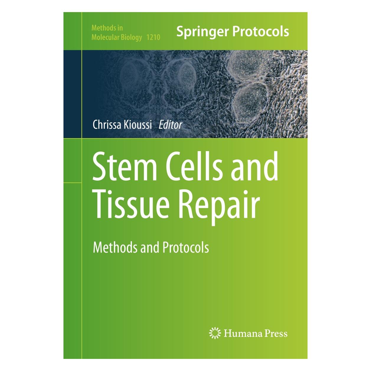 Springer Stem Cells and Tissue Repair (Englisch, Hardcover, Chrissa Kioussi) (9781493914340)