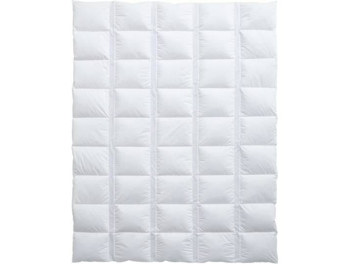 Billerbeck Daunenduvet Climabalance Light weiss Baumwolle/Daunen 160 x 240 cm Gänsedaunen - Material: Fassung: 100% Baumwolle, Batist, Füllung: 100%