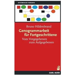 Genogrammarbeit für Fortgeschrittene, Fachbücher von Bruno Hildenbrand