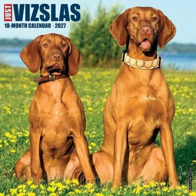 Vizslas 2027 12 X 12 Wall Calendar