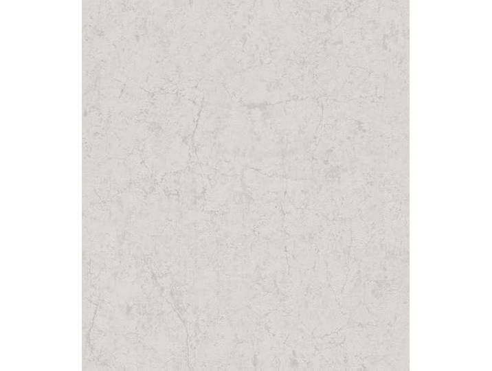 Rasch Tapete 285666 - Helle Tapete aus Papier mit Betonoptik/Betonmuster in Grau - 10,05m x 0,53m (LxB)