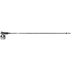 LEKI Herren Alpin-Skistock Carbon 12 3D, Größe 130 in Grau Grau