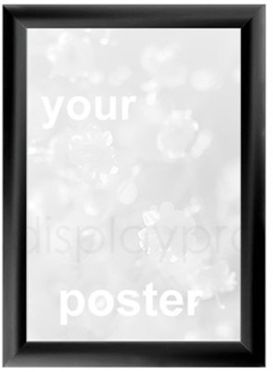 A4 Verstekkozijnen Wandposters in Diverse Kleuren