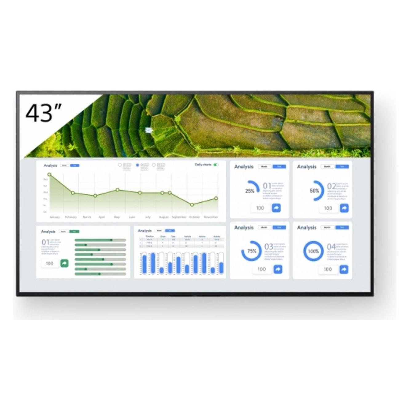 Sony Pro Bravia (3840 x 2160 Pixel, 43") (FW-43BZ30L)
