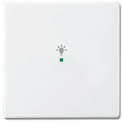 Busch-Jaeger Wippe 6231-10-84 1fach Symbol Licht studioweiß