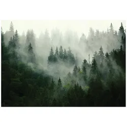 FOTOTAPETE Wald Nebel 150x105