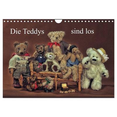 Die Teddys sind los (Wandkalender 2026 DIN A4 quer), CALVENDO Monatskalender