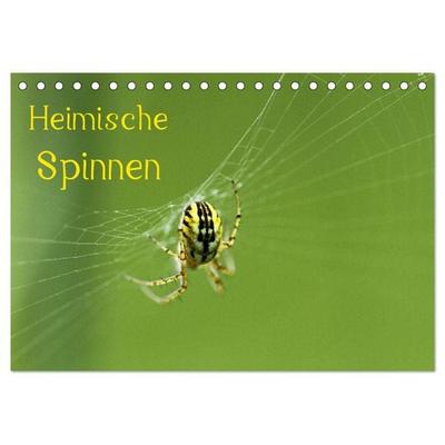 Heimische Spinnen (Tischkalender 2026 DIN A5 quer), CALVENDO Monatskalender
