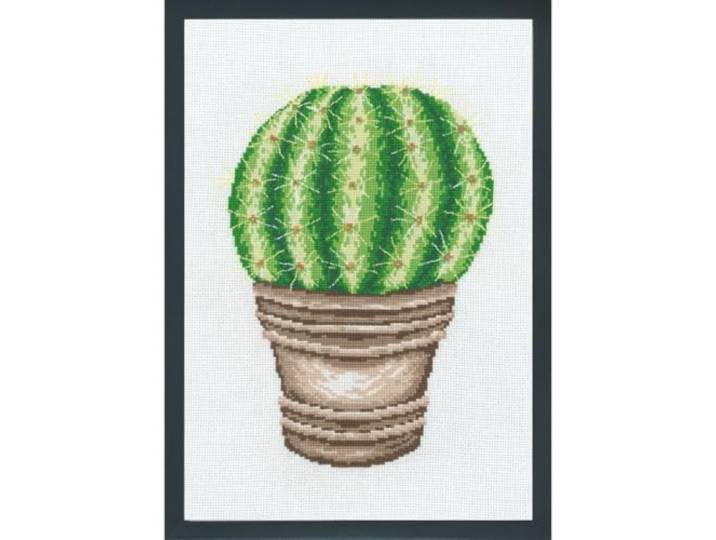 Borduurpakket Cactus van Permin