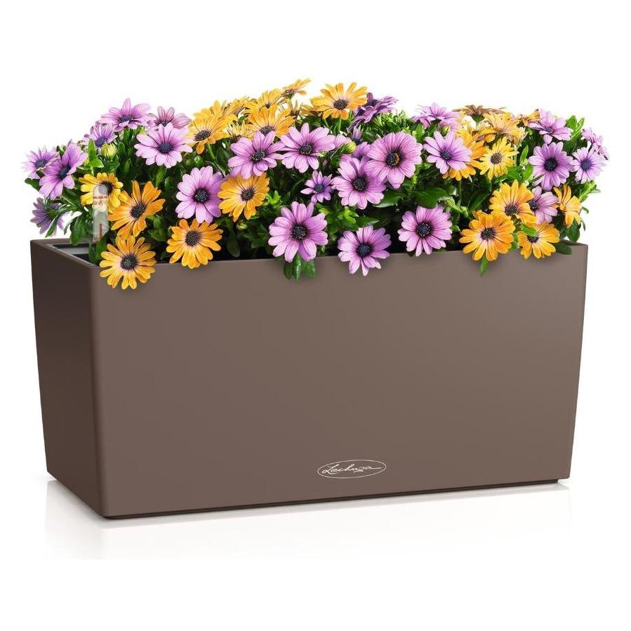 Lechuza BALCONERA Color 40 (40 x 19 x 19 cm) (4008789154767)