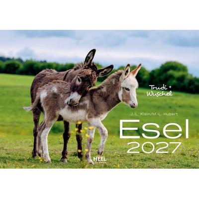 Esel Kalender 2027