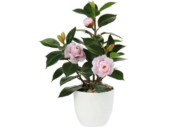 Künstliche Pflanze Kamelie Rosa 28 cm, Kunststoff, 28 cm, Dekoration, Blumen & Blumentöpfe, Kunstblumen