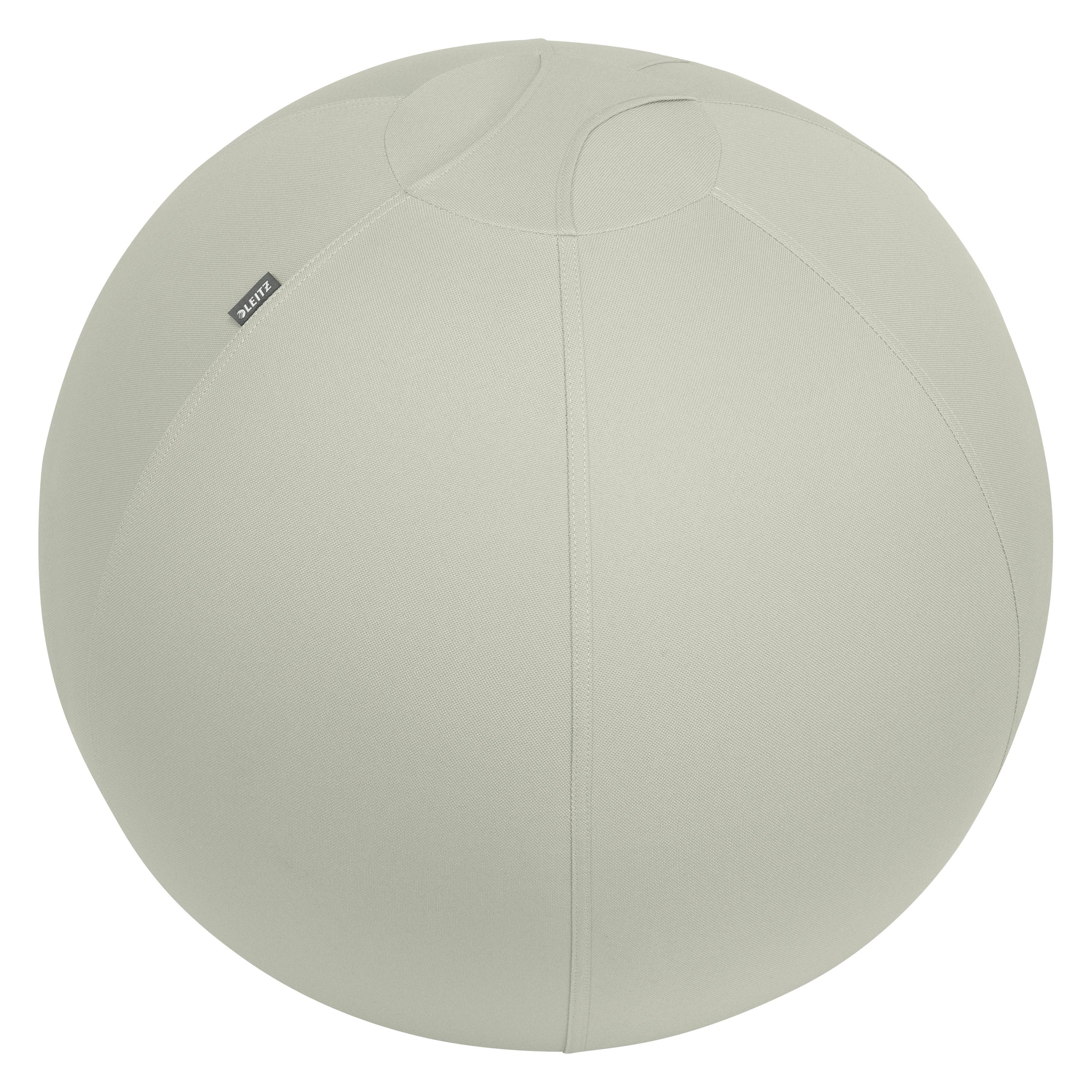 Leitz Ergo Active Sitzball (65 cm) (6542-00-85)