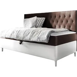 BOXBETT Filip Junior 2 - H3