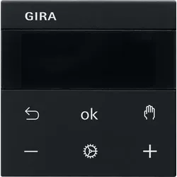 Gira RTR Display 5393005