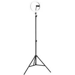 LED Stehleuchte dimmbar verstellbar Farbwechsel schwarz Selfielicht H 210 cm